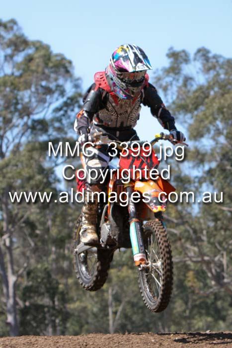 445x677 pixels (61K)